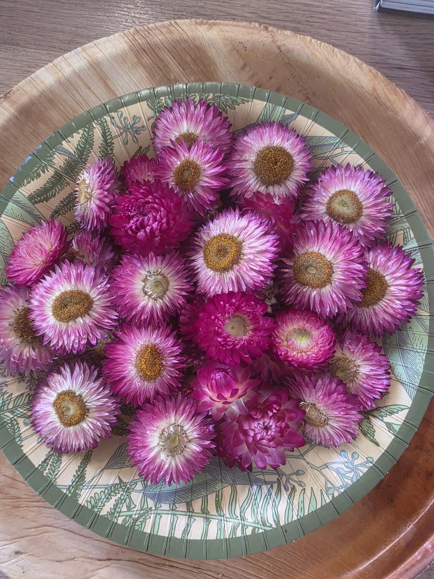 Organic Pink Strawflowers – Australian Dried Flowers for Crafts, Art, Weddings