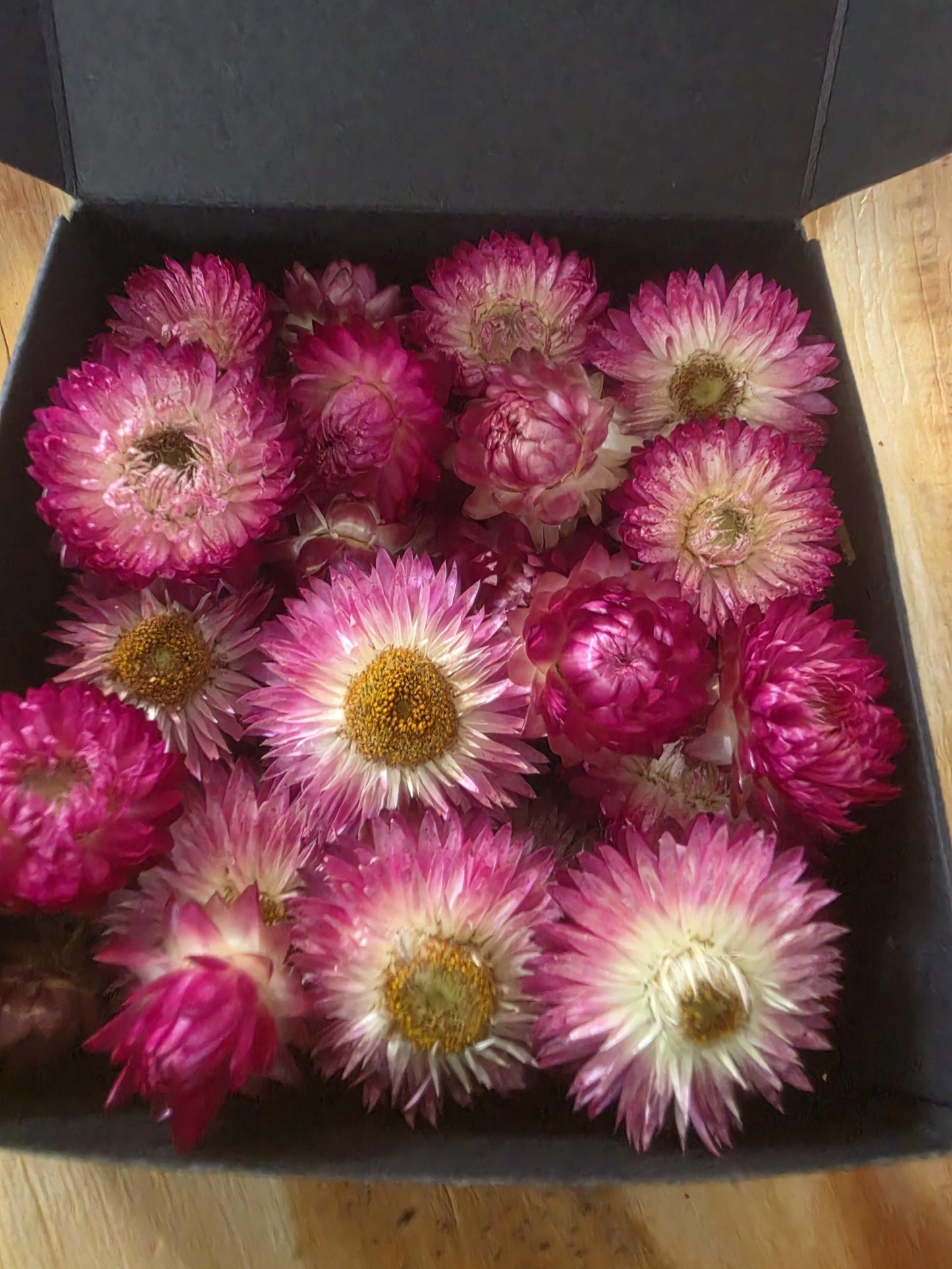 Organic Pink Strawflowers – Australian Dried Flowers for Crafts, Art, Weddings