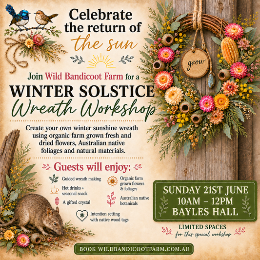 Winter Solstice Sunshine Wreath Workshop, Sunday June 21:  10am - 12pm