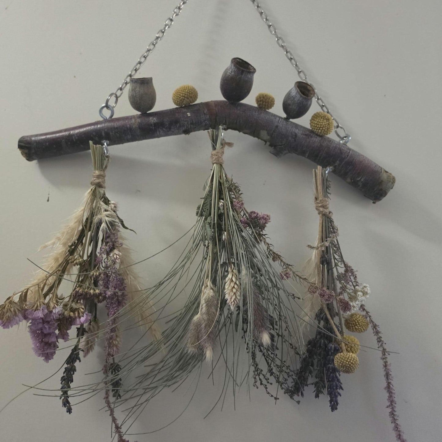Rustic Dried Flower Wall Hanging with Silver Princess Gumnuts and Billy Buttons - Home Decoration - natural wall art