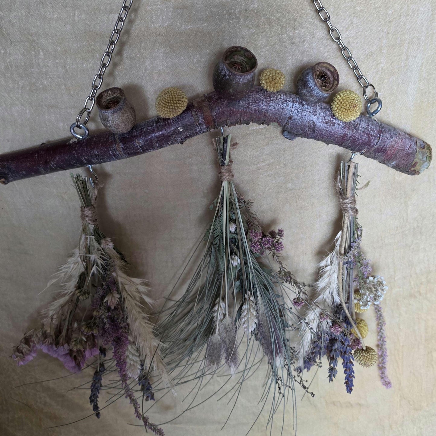 Rustic Dried Flower Wall Hanging with Silver Princess Gumnuts and Billy Buttons - Home Decoration - natural wall art