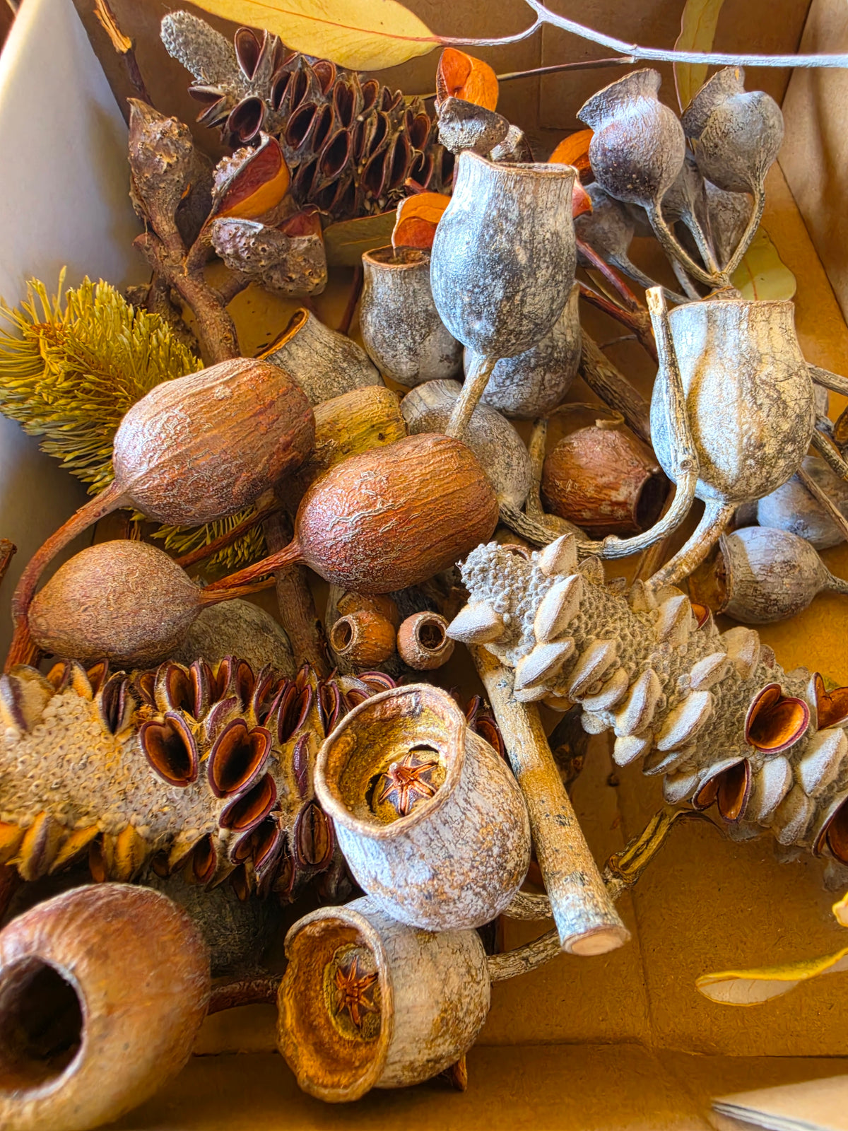 Everlasting Wreath Creation Workshop, Winter Solstice Day - Sunday June 21: 10am - 12pm